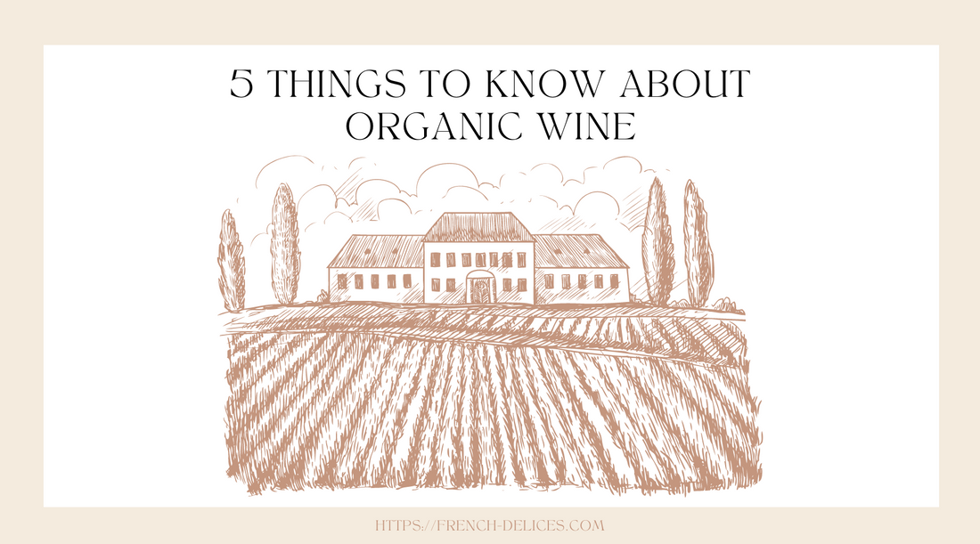5 Things to Know About Organic Wine