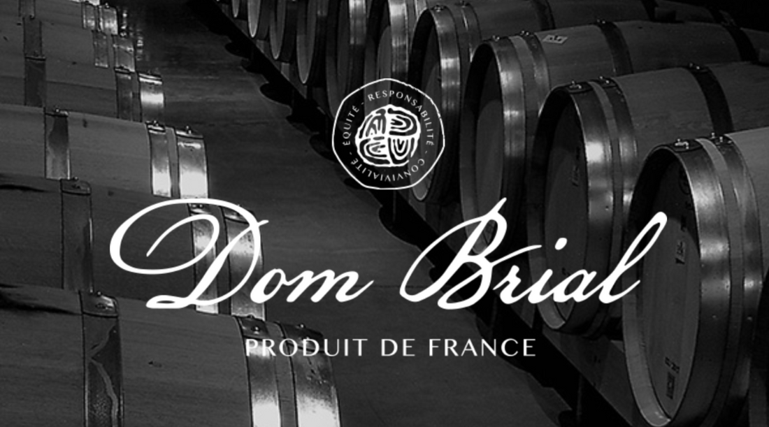 Dom Brial: A Journey through Solidarity, Quality, and Sustainability