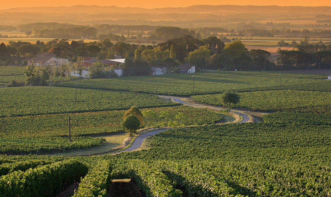 French Delices' New - Harvest Time