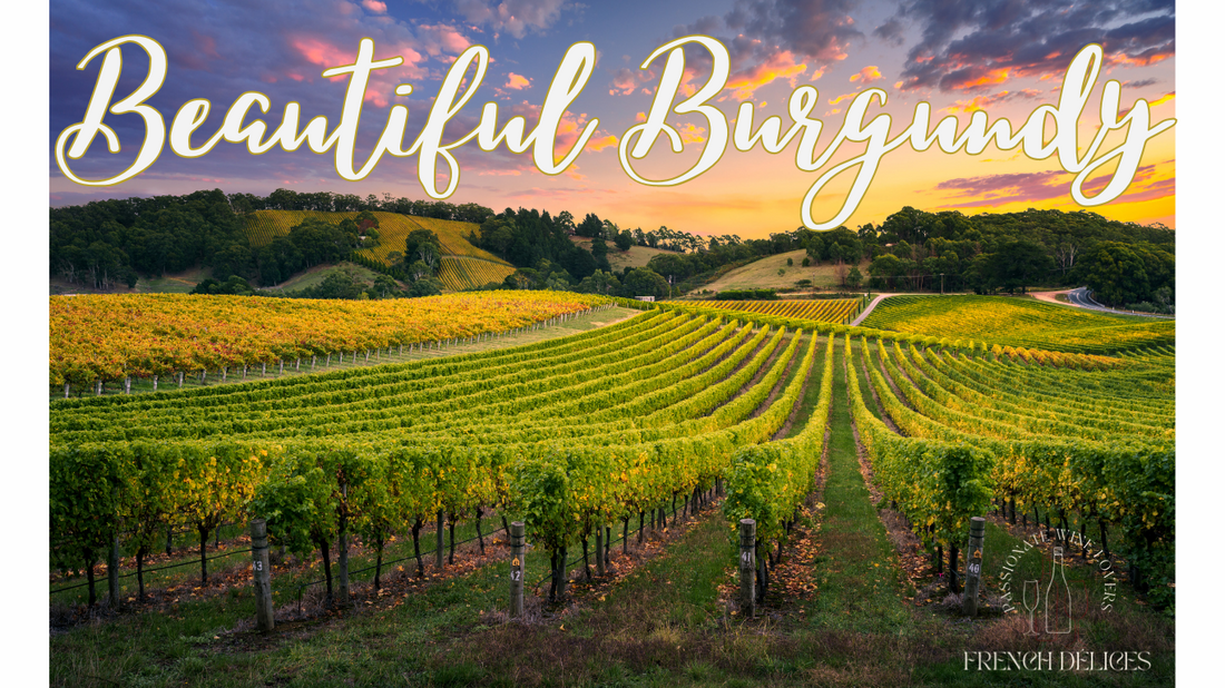 The Wines of Burgundy