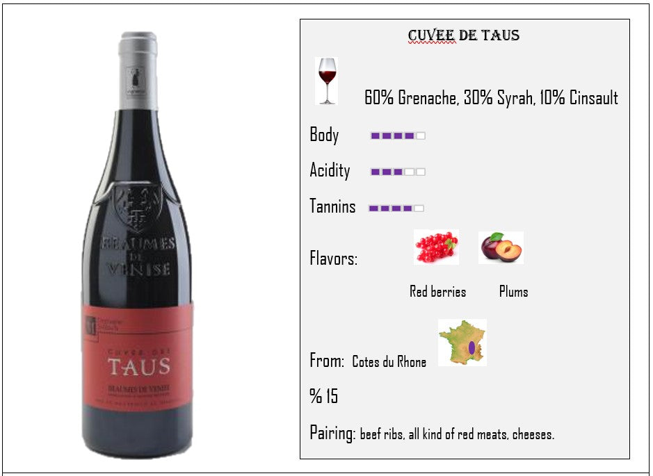 French Red Wine - Cotes du Rhone - Grenache / Syrah