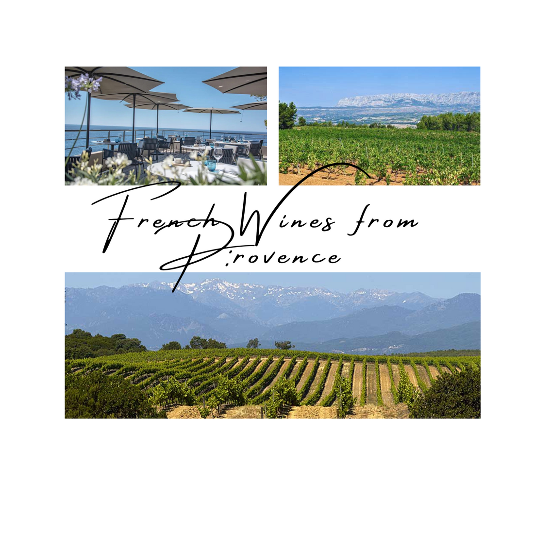 French wines from Provence area